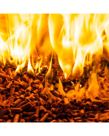 Saulėgrąžų lukštų granulės